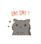 magic cats（個別スタンプ：3）