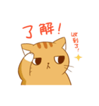 magic cats（個別スタンプ：8）