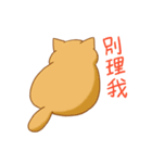 magic cats（個別スタンプ：10）