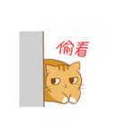 magic cats（個別スタンプ：21）