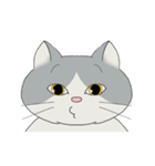 song of a cat（個別スタンプ：8）