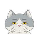 song of a cat（個別スタンプ：11）