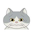 song of a cat（個別スタンプ：12）