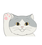 song of a cat（個別スタンプ：15）