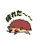 愛しいハリネズミ（個別スタンプ：37）