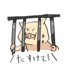 日常で使える 3匹のぶたスタンプ（個別スタンプ：9）