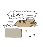 日常で使える 3匹のぶたスタンプ（個別スタンプ：20）