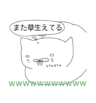 おたニャン（個別スタンプ：30）
