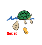 Turtle of Student（個別スタンプ：22）