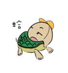 Turtle of Student（個別スタンプ：23）