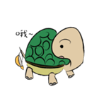 Turtle of Student（個別スタンプ：24）