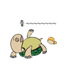 Turtle of Student（個別スタンプ：26）