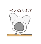 まいにちコアラ 4（個別スタンプ：15）