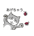 Let's CAT.Japanese1.New（個別スタンプ：10）