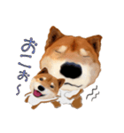 柴犬の「芝けん太」4（個別スタンプ：27）