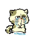 GangMeaw（個別スタンプ：3）
