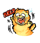 GangMeaw（個別スタンプ：36）