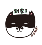 CatNiuNiu 1-diary（個別スタンプ：26）