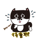 CatNiuNiu 1-diary（個別スタンプ：28）