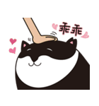 CatNiuNiu 1-diary（個別スタンプ：33）