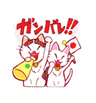 にゃんことクローバー（個別スタンプ：14）