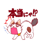 にゃんことクローバー（個別スタンプ：25）