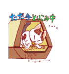 にゃんことクローバー（個別スタンプ：35）