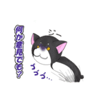 こけにゃん（個別スタンプ：8）