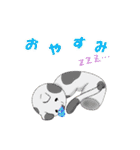 こけにゃん（個別スタンプ：16）