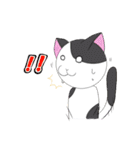 こけにゃん（個別スタンプ：17）