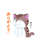 こけにゃん（個別スタンプ：28）
