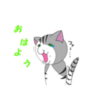 こけにゃん（個別スタンプ：31）