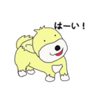 かわいいワンちゃんたち（個別スタンプ：9）