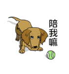 Stan loves to make friends.（個別スタンプ：2）