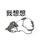Stan loves to make friends.（個別スタンプ：23）