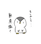 ましこさんのペンギン（個別スタンプ：11）