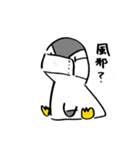 ましこさんのペンギン（個別スタンプ：13）