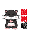 Lazy Hamster Daily（個別スタンプ：7）