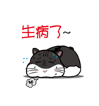 Lazy Hamster Daily（個別スタンプ：9）