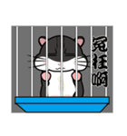 Lazy Hamster Daily（個別スタンプ：21）