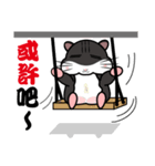 Lazy Hamster Daily（個別スタンプ：33）