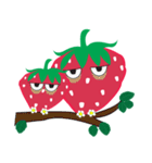 Strawberry？（個別スタンプ：25）