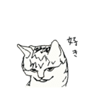日刊猫自身（個別スタンプ：5）