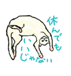 日刊猫自身（個別スタンプ：8）