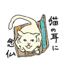 日刊猫自身（個別スタンプ：10）