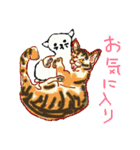日刊猫自身（個別スタンプ：17）