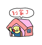 jinjin's daily（個別スタンプ：27）