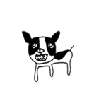 白黒犬かわいい（個別スタンプ：37）