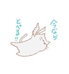 ぷにぷにニャンコ（個別スタンプ：34）