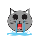 Knock Knock（個別スタンプ：12）